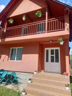 Casa Sandu